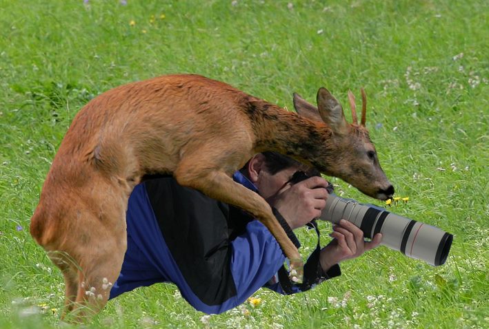 Vorsicht mit Lockmitteln