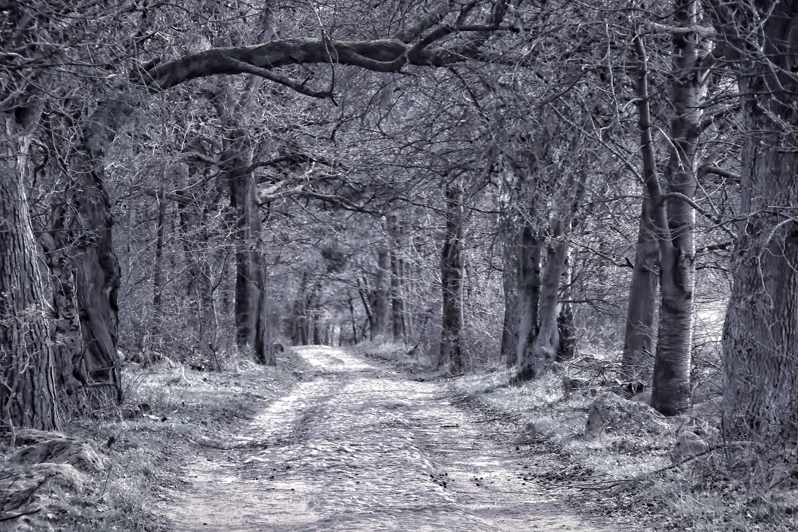 Vorsicht - schlechte Wegstrecke in der Uckermark...