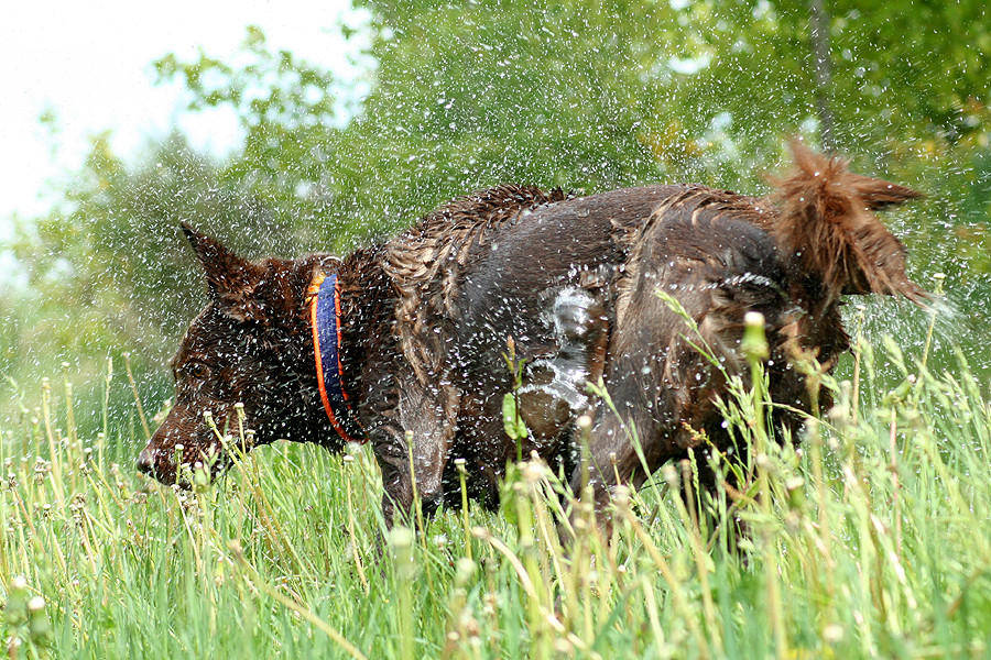 Vorsicht! sonst gibt es ne Dusche =)