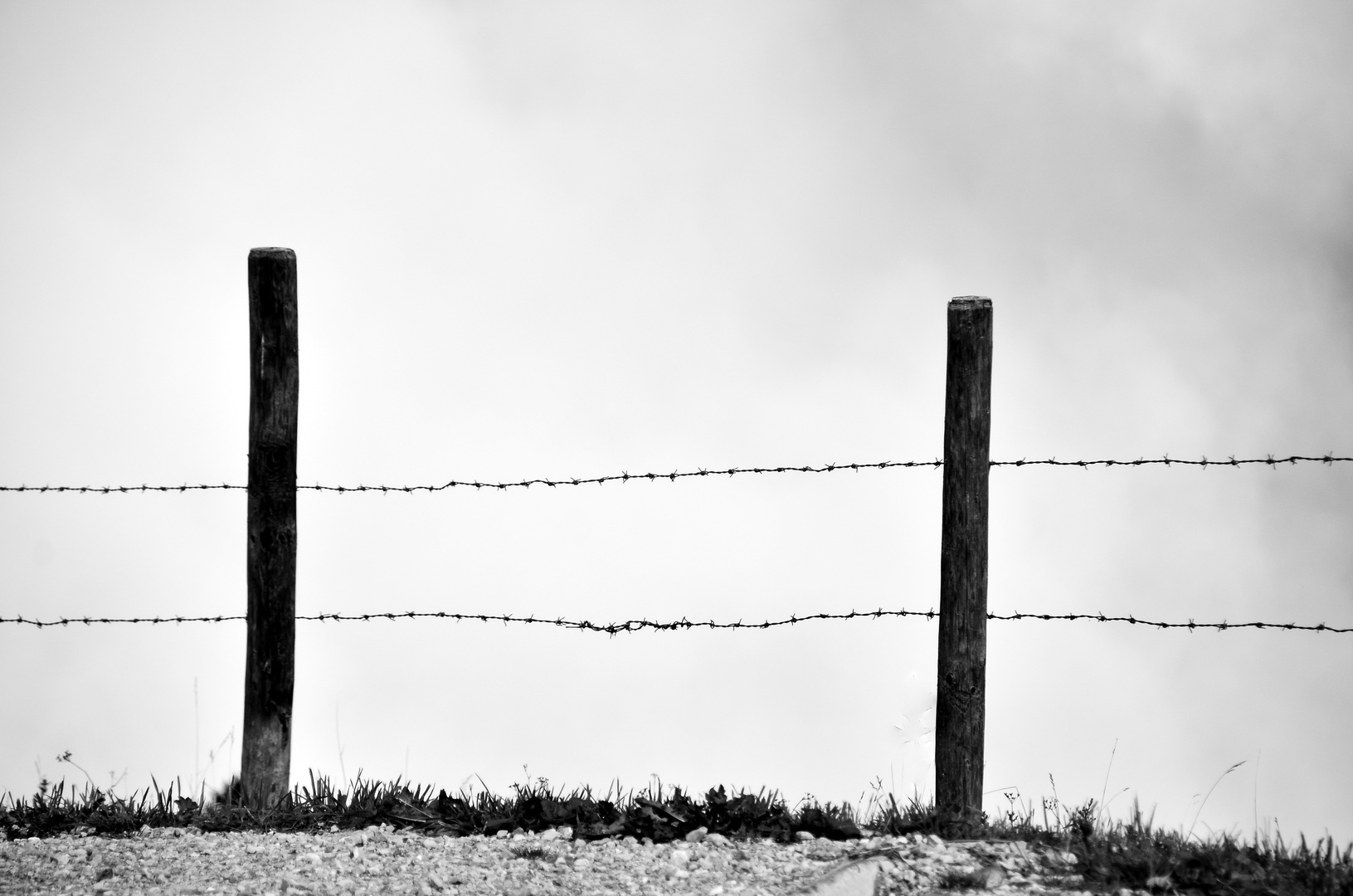 Vorsicht stachelig