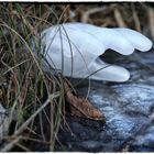 Vorsicht vor dem Betreten der Eisflächen!