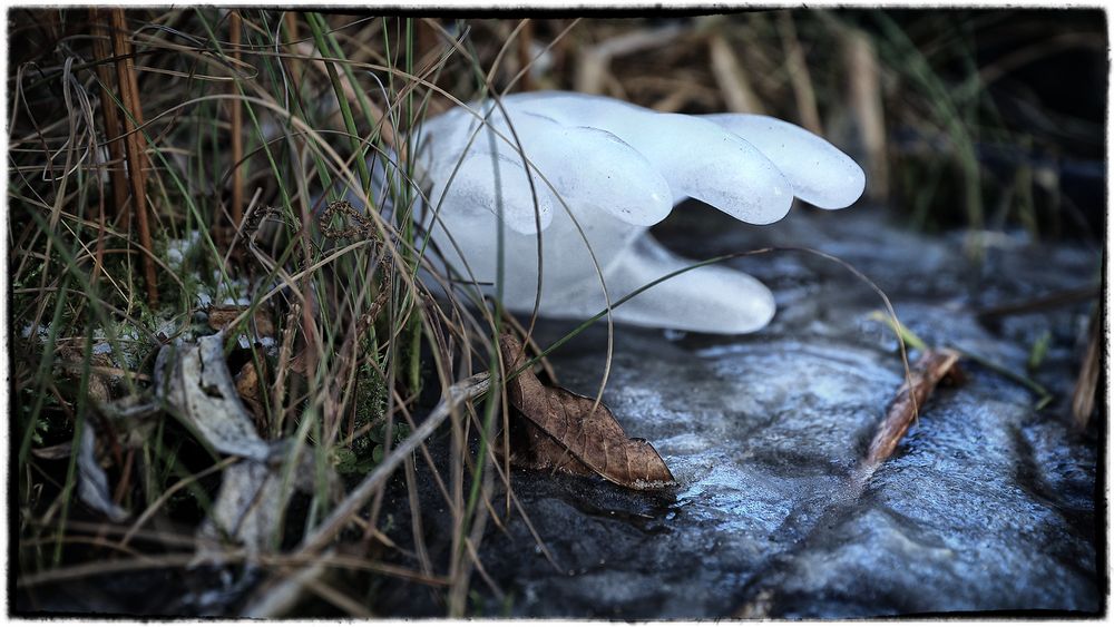 Vorsicht vor dem Betreten der Eisflächen!