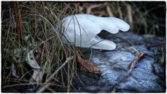 Vorsicht vor dem Betreten der Eisflächen!