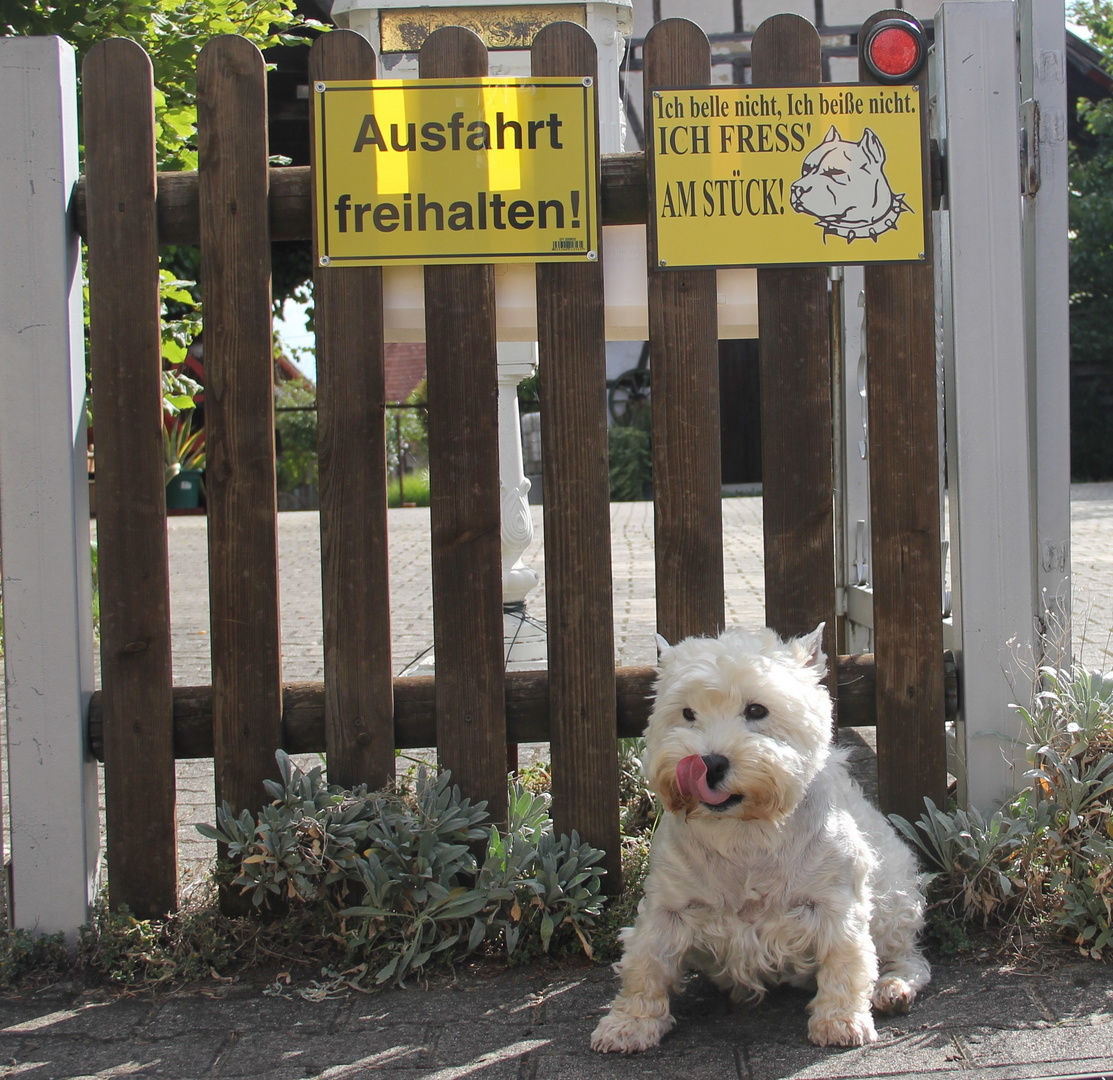 Vorsicht, Wachhund!!! _W_A_U_, wau; wehe, es kommt jemand zu nahe,...