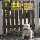 Vorsicht, Wachhund!!! _W_A_U_, wau; wehe, es kommt jemand zu nahe,...