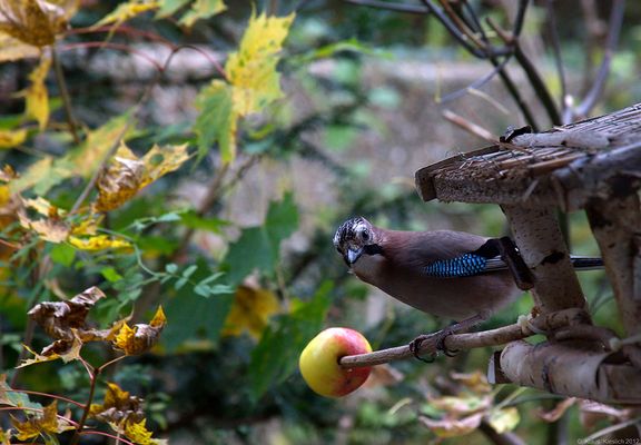 Vorsichtig peilt er die Lage