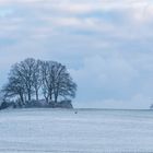 … Vorsichtige Annäherung …