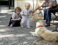 vorsichtige Annäherung