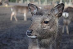 Vorsichtiger Blick aufs Wochenende