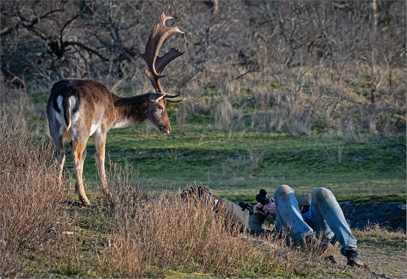 Vorsichtiges Annähern des Fotografen   . . .