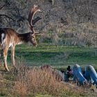 Vorsichtiges Annähern des Fotografen   . . .