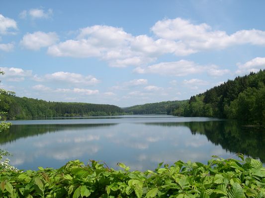 Vorsperre Große Dhünn - Mai 2009