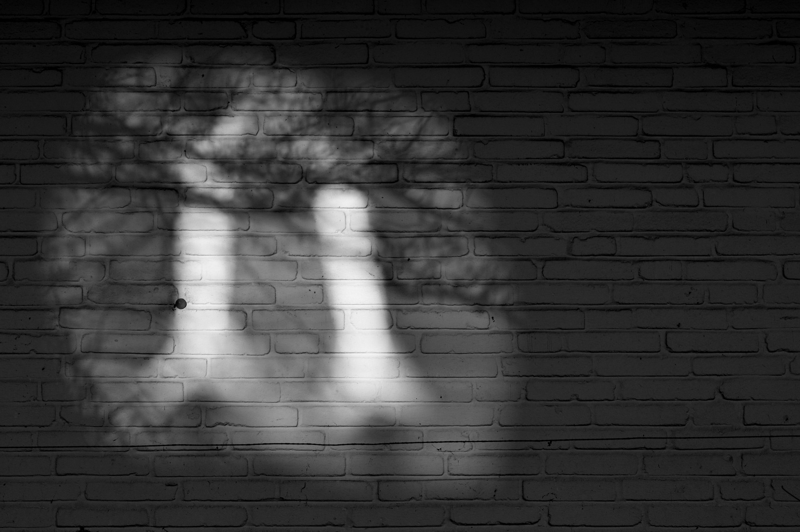 Vorspiegelung falscher Tatsachen Foto &amp; Bild | experimente, schatten ...