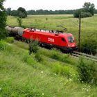 "Vorstadt-Prähie", München Trudering-Moosfeld, 30.07.2011