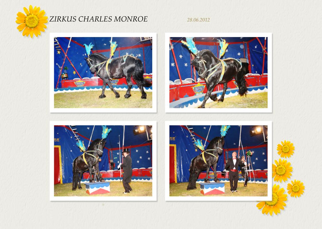 Vorstellung Zirkus Charles Monroe (1)