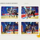 Vorstellung Zirkus Charles Monroe (1)