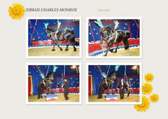 Vorstellung Zirkus Charles Monroe (1)