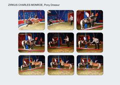 Vorstellung Zirkus Charles Monroe, Pony Dressur