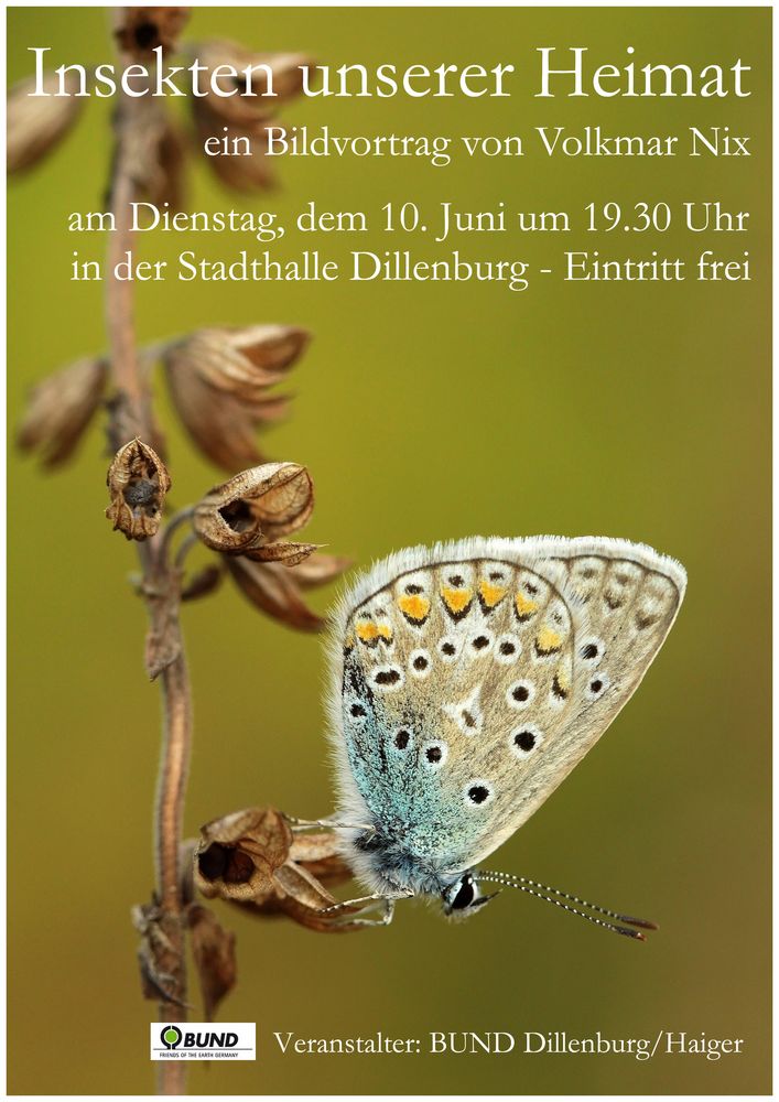 Vortrag "Insekten unserer Heimat"