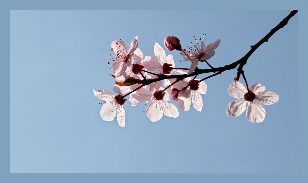 Vorübergehender Abschied vom Frühling (I)