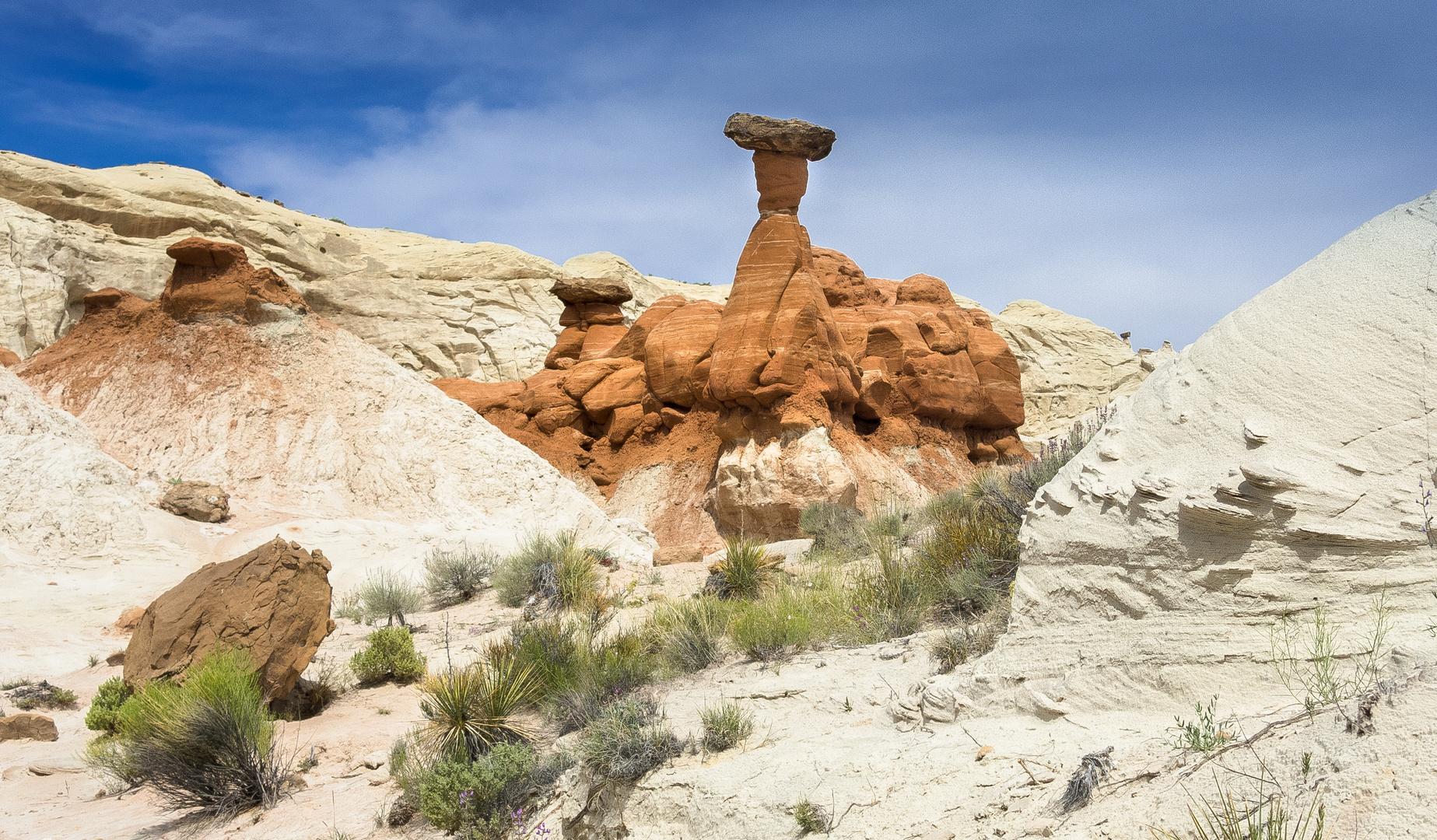 Vorübergehender Abschied von Toadstool Hoodoos