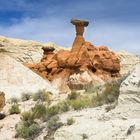 Vorübergehender Abschied von Toadstool Hoodoos