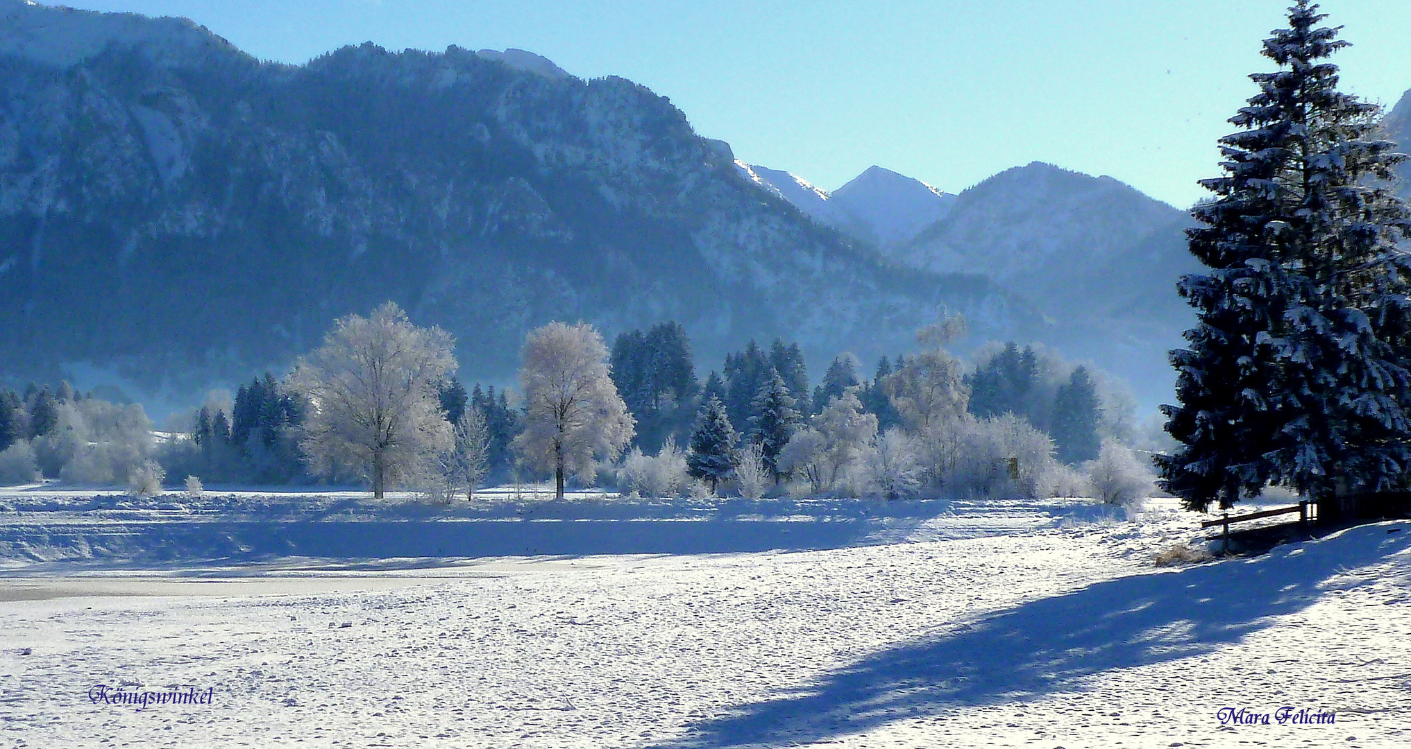 VORWEIHNACHT am Forggensee