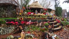 Vorweihnacht auf Madeira