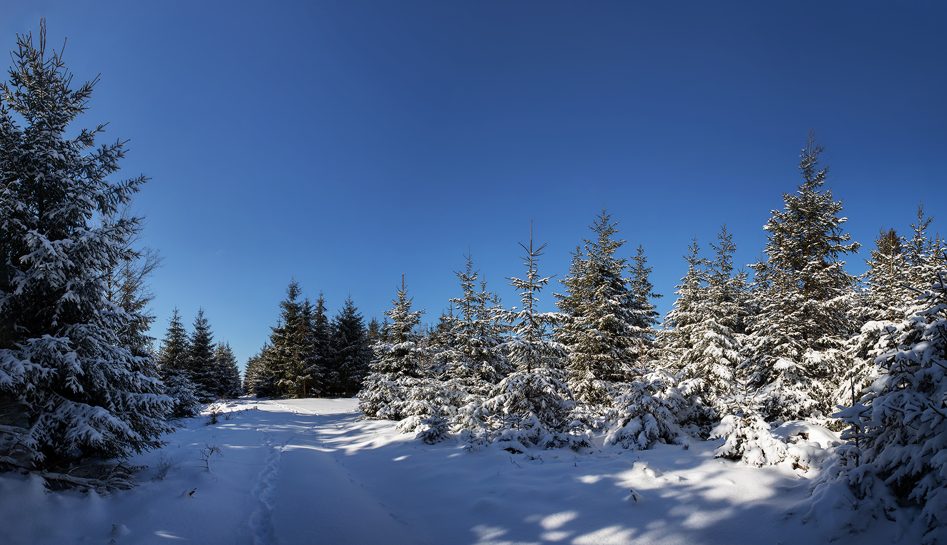 Vorweihnachtliche Winterstimmung.