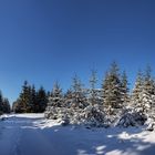 Vorweihnachtliche Winterstimmung.