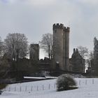 Vorweihnachtlicher Ausflug Wolfspark Kasselburg