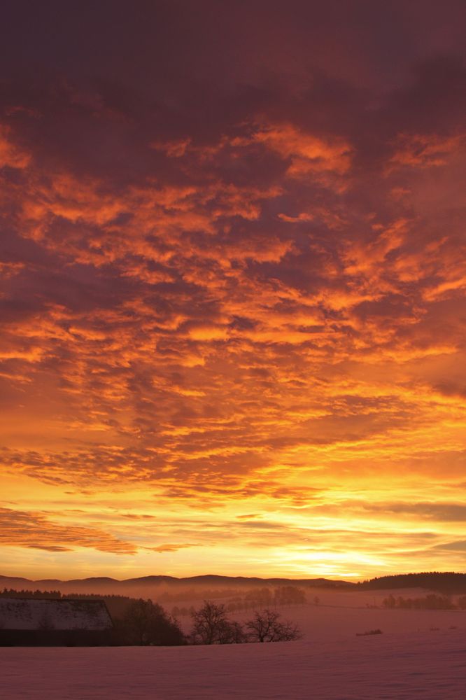 Vorweihnachtlicher Sonnenaufgang 01 von FischMich 