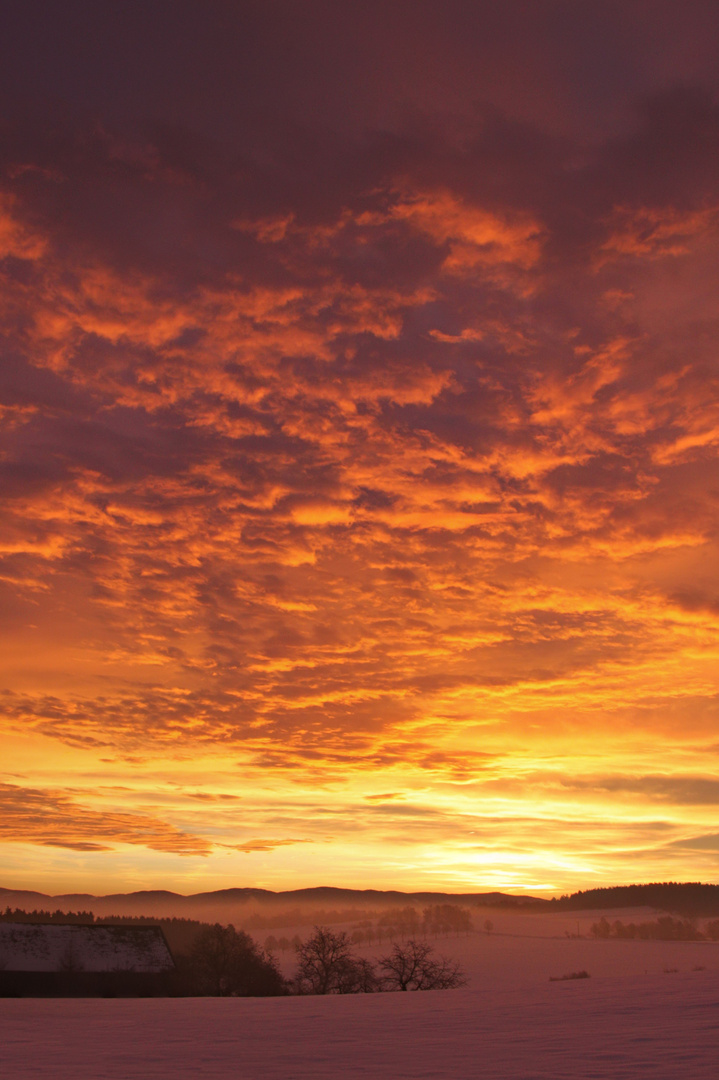 Vorweihnachtlicher Sonnenaufgang 01