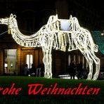 Vorweihnachtliches Rom