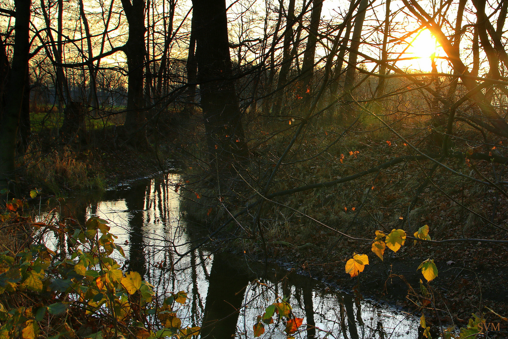 Vorweihnachtsspaziergang am Löbauer Wasser