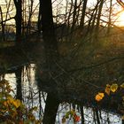 Vorweihnachtsspaziergang am Löbauer Wasser