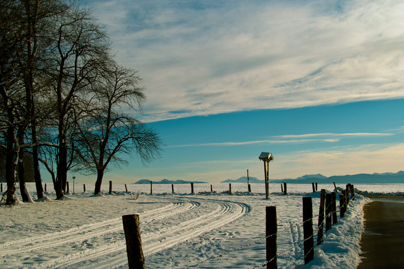 Vorweihnachtsspaziergang