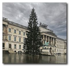 Vorweihnachtszeit im Regen