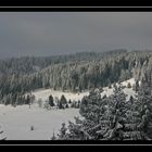 Vorweihnachtszeit im Schwarzwald