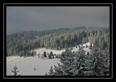 Vorweihnachtszeit im Schwarzwald