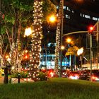 Vorweihnachtszeit in Honolulu/Hawaii