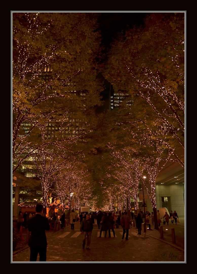 Vorweihnachtszeit in Tokyo