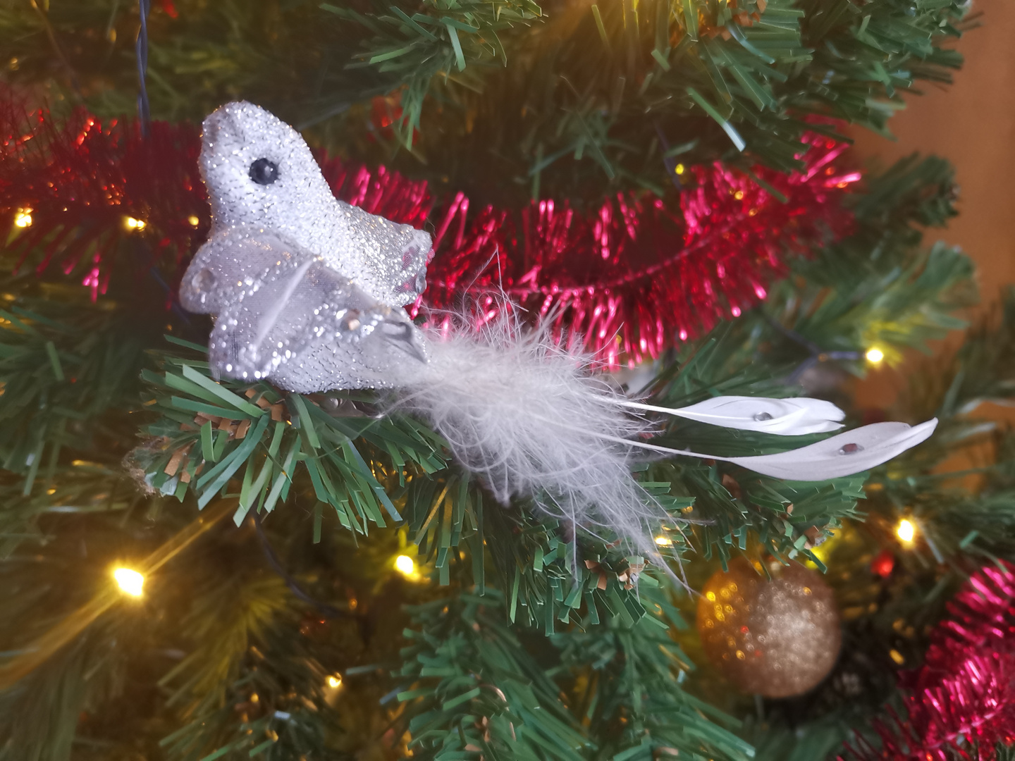 Vorweihnachtszeit Teil 2 Foto & Bild deutschland, europe, saarland