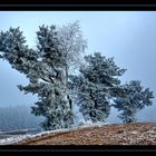 Vorwinter im Fichtelgebirge 3