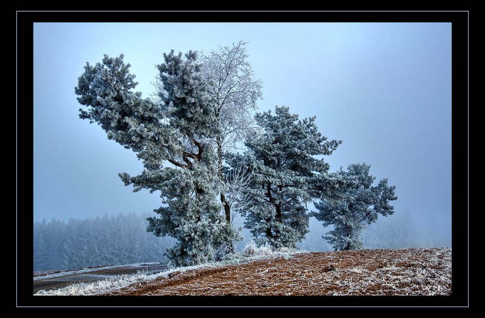 Vorwinter im Fichtelgebirge 3