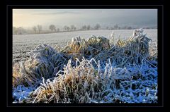 Vorwinter im Fichtelgebirge IV