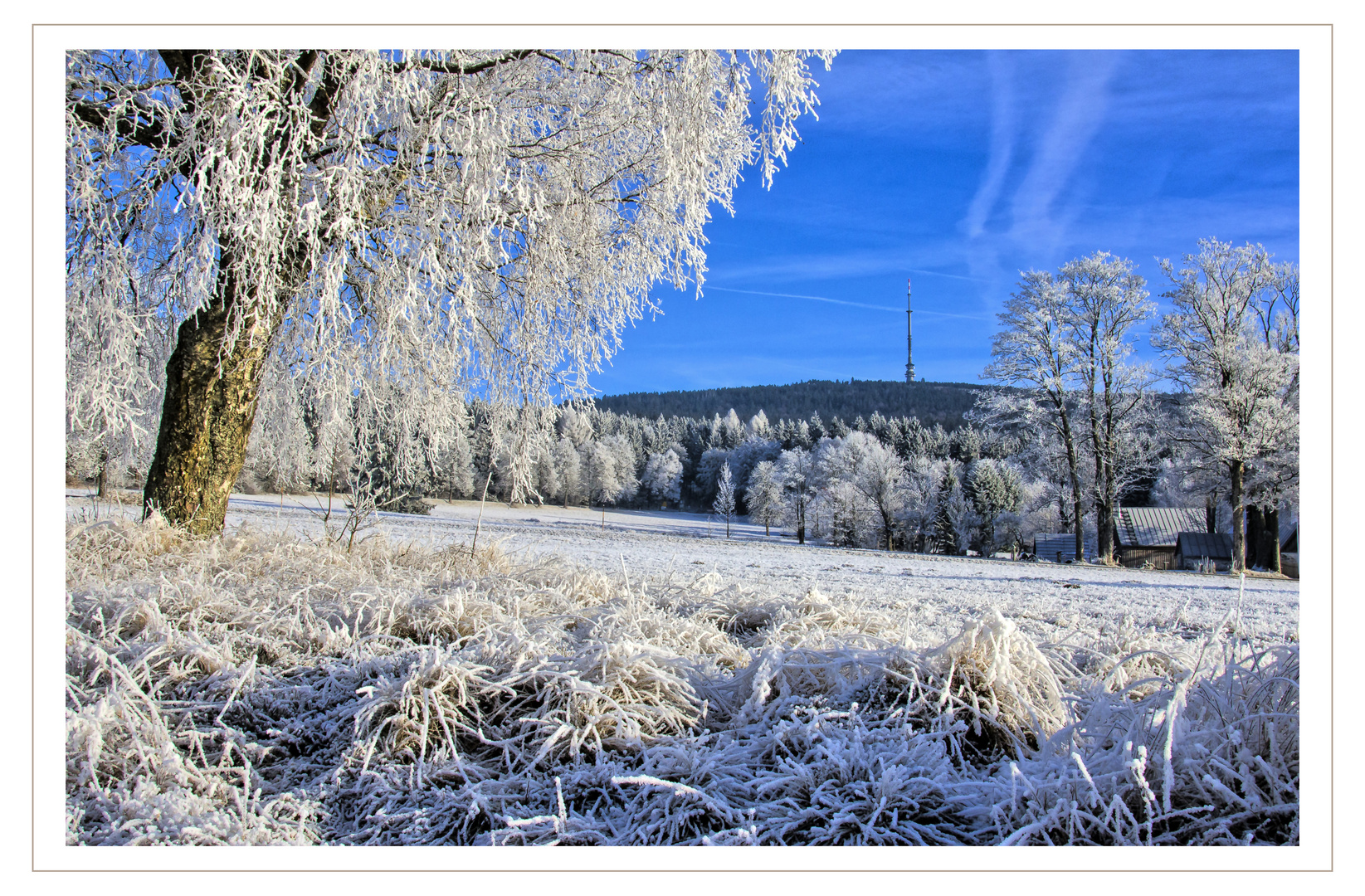 Vorwinter im Fichtelgebirge V