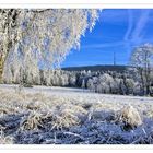 Vorwinter im Fichtelgebirge V