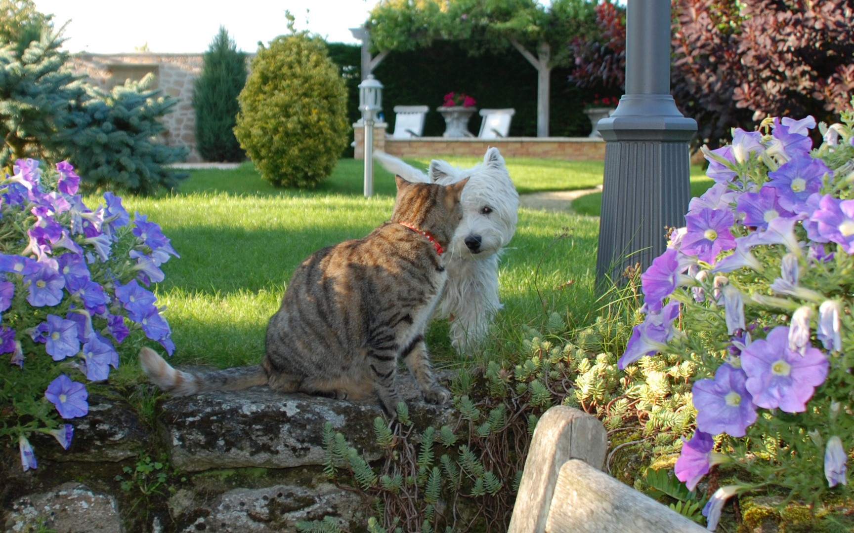 vos beaux yeux d'amour mourir ...