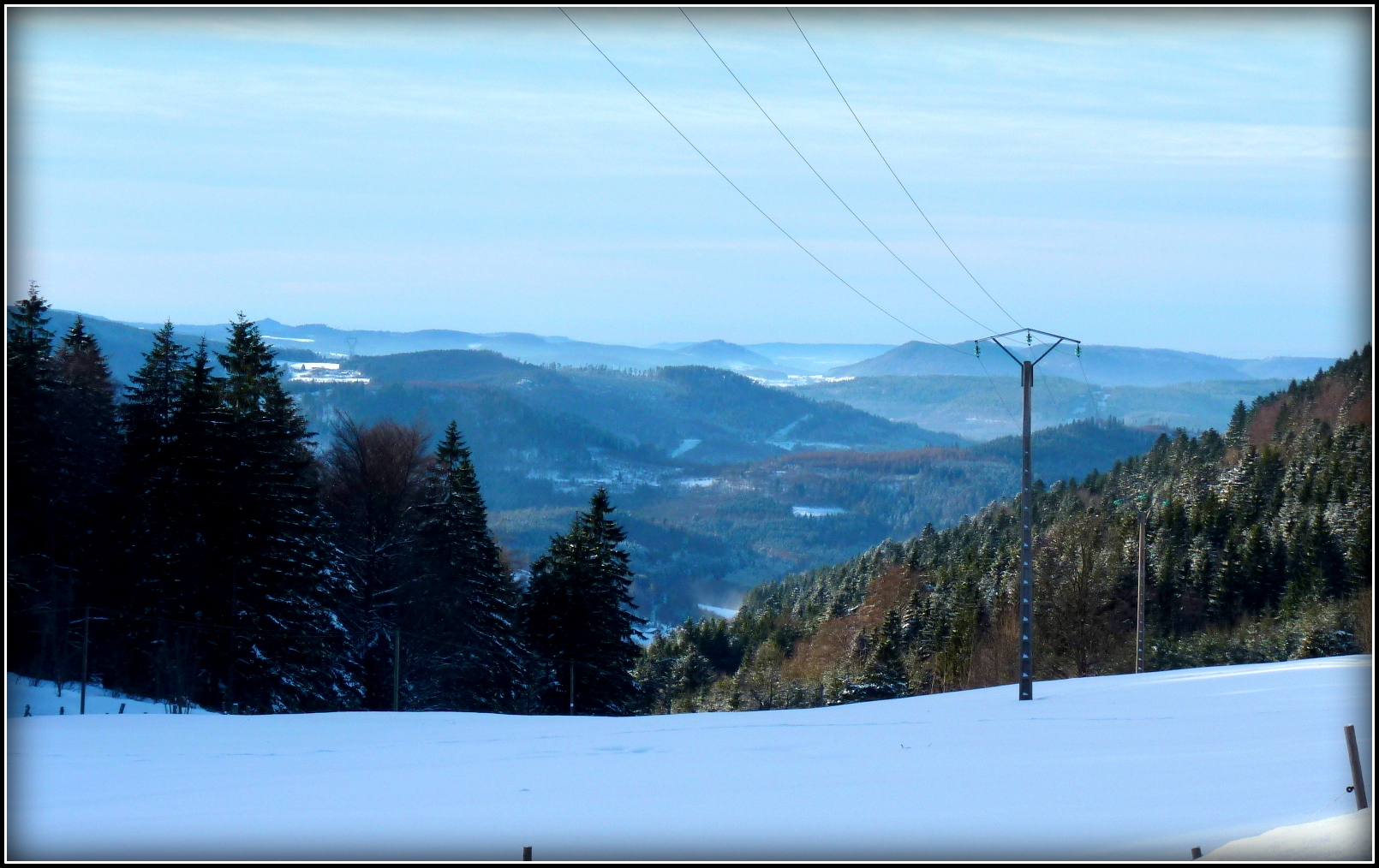 Vosges